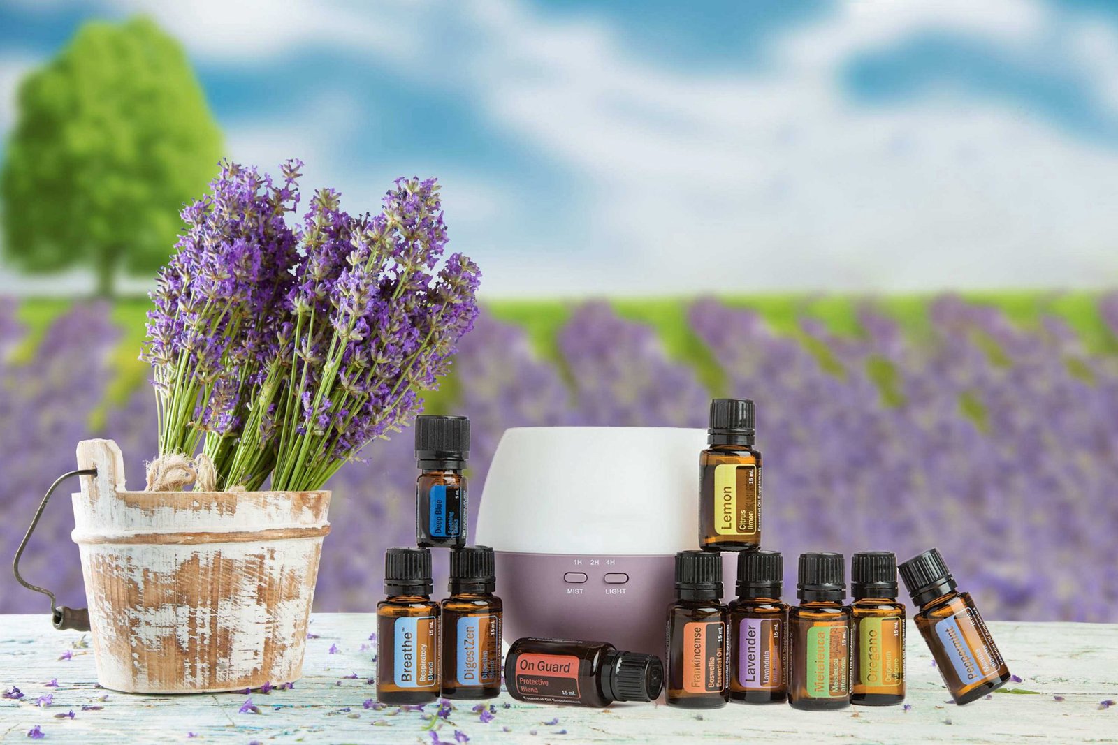 Diffuser with essential oils